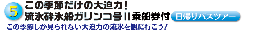 この季節だけの大迫力！流氷砕氷船ガリンコ号Ⅱ