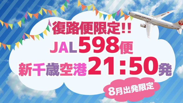 復路新千歳空港21:50発JAL598便限定ツアー