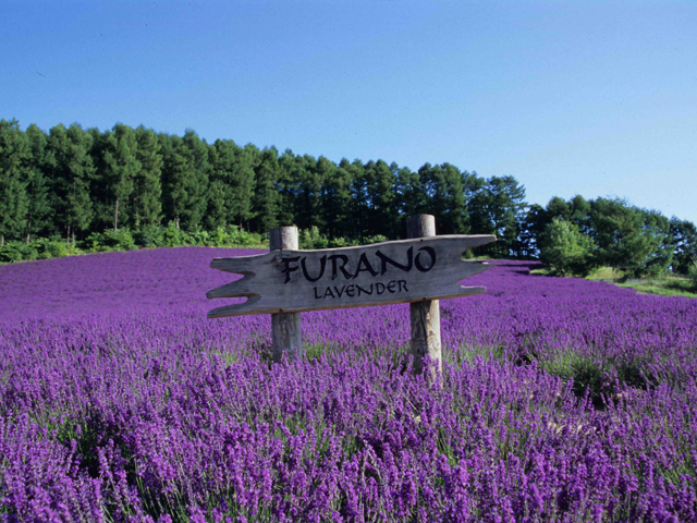 アートホテル旭川