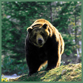 北海道旅行　北海道ツアー