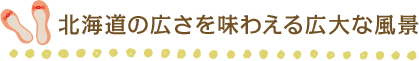 北海道の広さを味わえる広大な風景