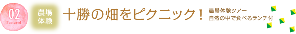 十勝の畑をピクニック!