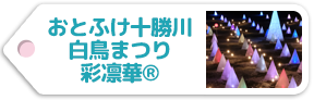 おとふけ十勝川白鳥まつり「彩凛華®（さいりんか）」