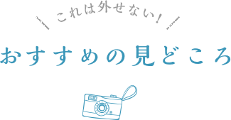 これは外せない！おすすめの見どころ