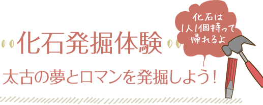 かつやま恐竜の森で化石発掘体験