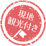 現地観光付き