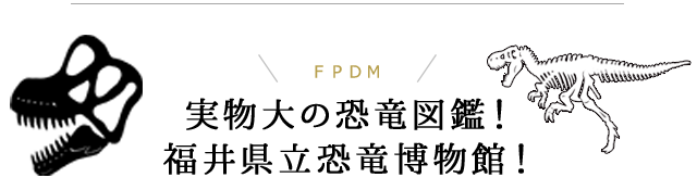 実物大の恐竜図鑑！FPDM：福井県立恐竜博物館