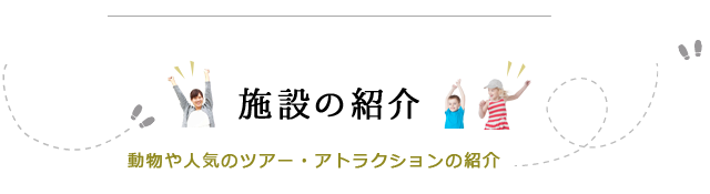 施設の紹介