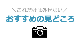 これは外せない！おすすめの見どころ