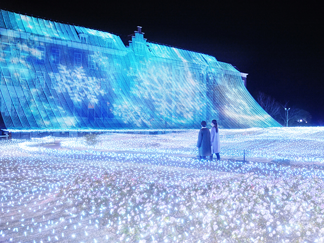 白銀のイルミネーション