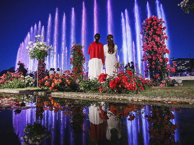 バラセレブレーション