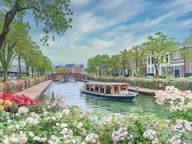 バラセレブレーション