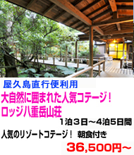 九州旅行　おすすめ