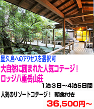 九州旅行　おすすめ