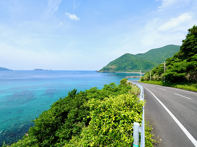 奄美大島イメージ