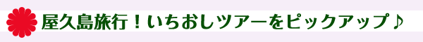 九州旅行　おすすめ