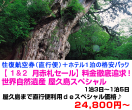 九州旅行　おすすめ