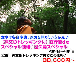 九州旅行　おすすめ