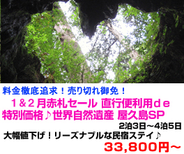 九州旅行　おすすめ