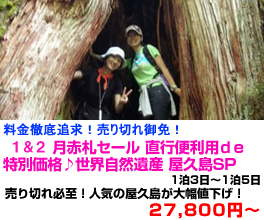 九州旅行　おすすめ