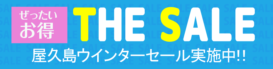 九州旅行　おすすめ