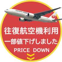 往復航空機（JAL）利用！値下げしました