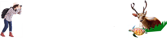 屋久島 ツアー検索