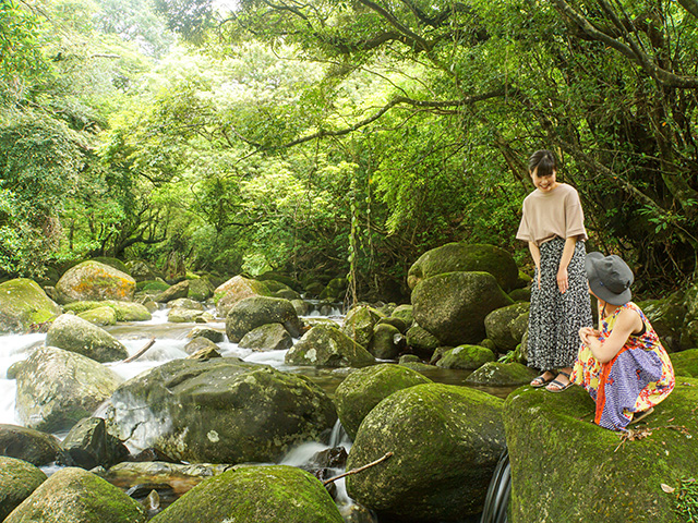 屋久島勝手に観光大使あずさサン