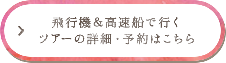 飛行船＆高速船で行く ツアーの詳細・予約はこちら