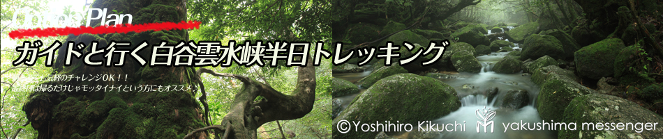 白谷雲水峡半日トレッキング