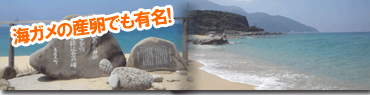 海ガメの産卵でも有名！