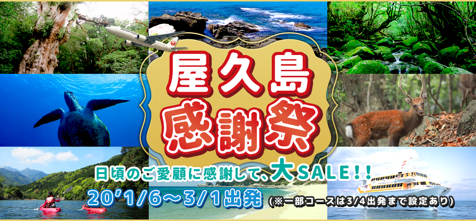 屋久島感謝祭（値下げセール）鹿児島発格安屋久島ツアー