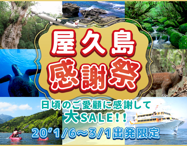 屋久島感謝祭（値下げセール）鹿児島発格安屋久島ツアー