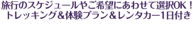屋久島おすすめツアーはこちら