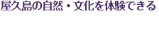 屋久島の自然・文化を体験できる！企画担当一押しツアー