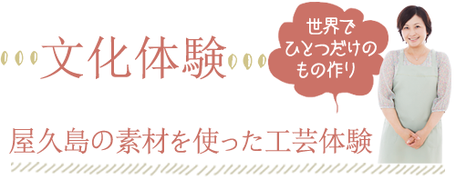 文化体験