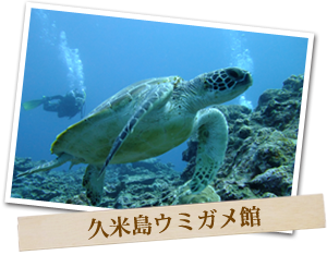 久米島ウミガメ館