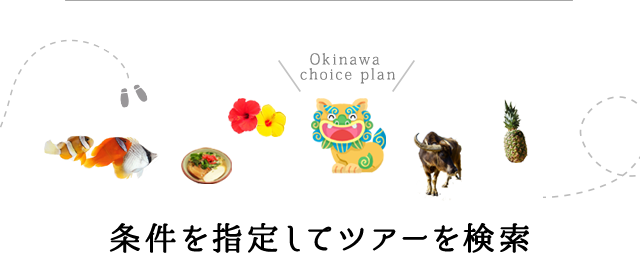 Hokkaido choice plan 条件を指定してツアーを検索