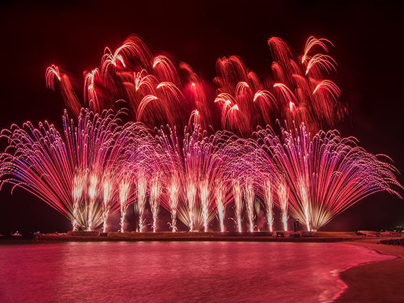 琉球*海花のたね カラフル エアファーン 2024