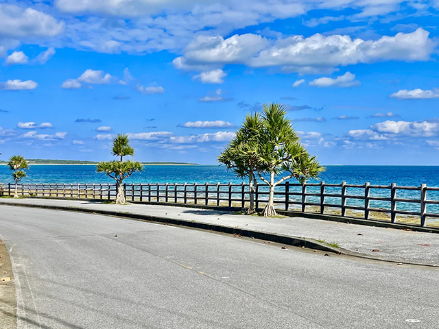 島尻海岸クリーンアップウォーク
