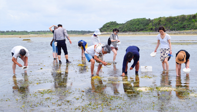 自転車あっちぃ(ポタリング)