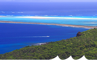 比屋定（ひやじょう）バンタ