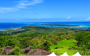 宇江城城跡（うえぐすくじょうあと）