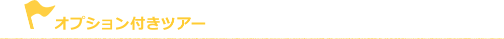 オプション付きツアー