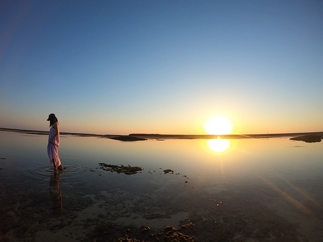 アレンジ自由自在！