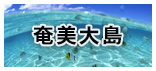 奄美大島