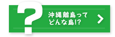 沖縄離島ってどんな島？