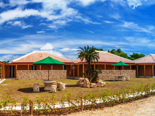 チョイスプラン