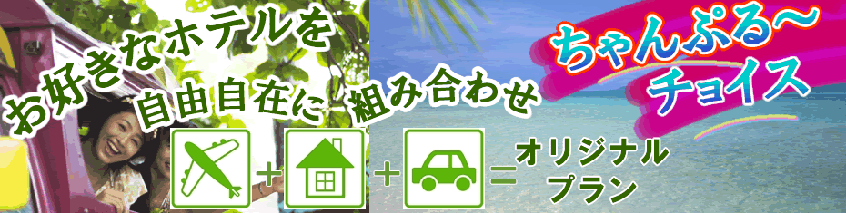 沖縄　ちゃんぷる～チョイス