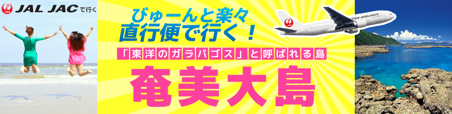 奄美大島ツアー　直行便スペシャル